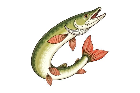 Download Pike Fish Illustration PNG Sublimation - Fish Collection
