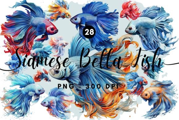 Download Siamese Betta Fish Illustration Clipart - Fish Collection