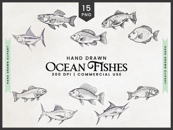 Download Hand Drawn Ocean Fishes Clipart Bundle - Fish Collection