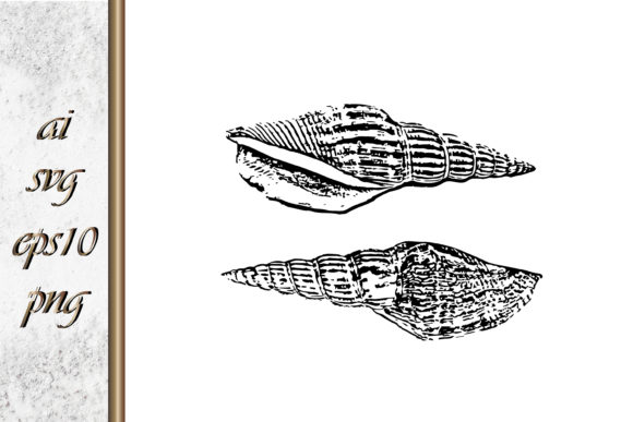 Download Doodle Shellfish Hand Drawn Sketch Vecto - Fish Collection