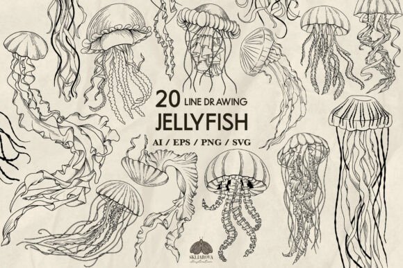 Download Jellyfish Line Drawing Svg - Fish Collection