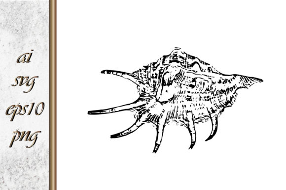 Download Doodle Shellfish Hand Drawn Sketch Vecto - Fish Collection